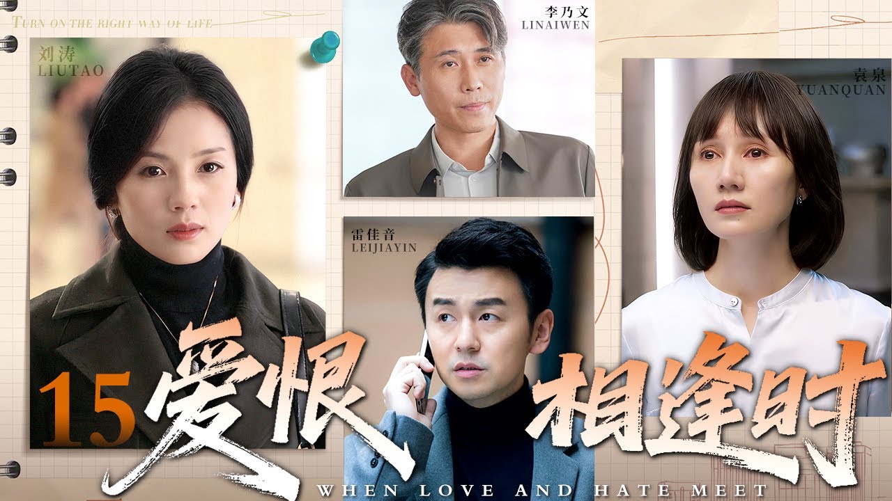 【2026最新电视剧】爱恨相逢时 15｜一对旧情人因误会分开，二十年后意外重逢，在中年危机与阴谋中，他们如何做出最终抉择？（袁泉/雷佳音）