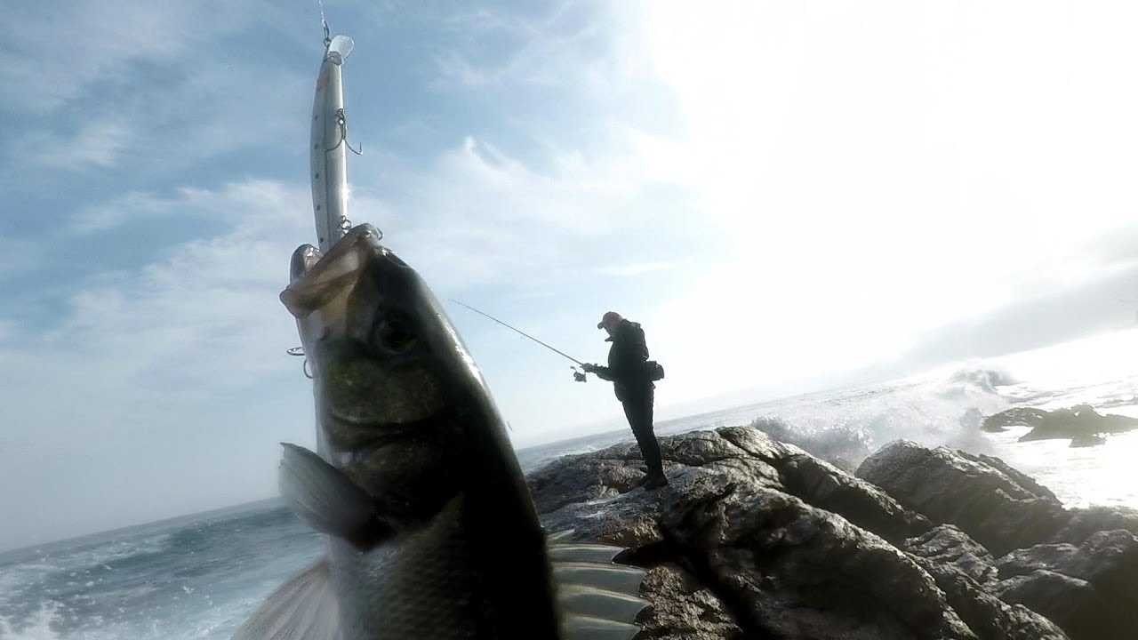La pesca de la robaliza en distintos escenarios de pesca