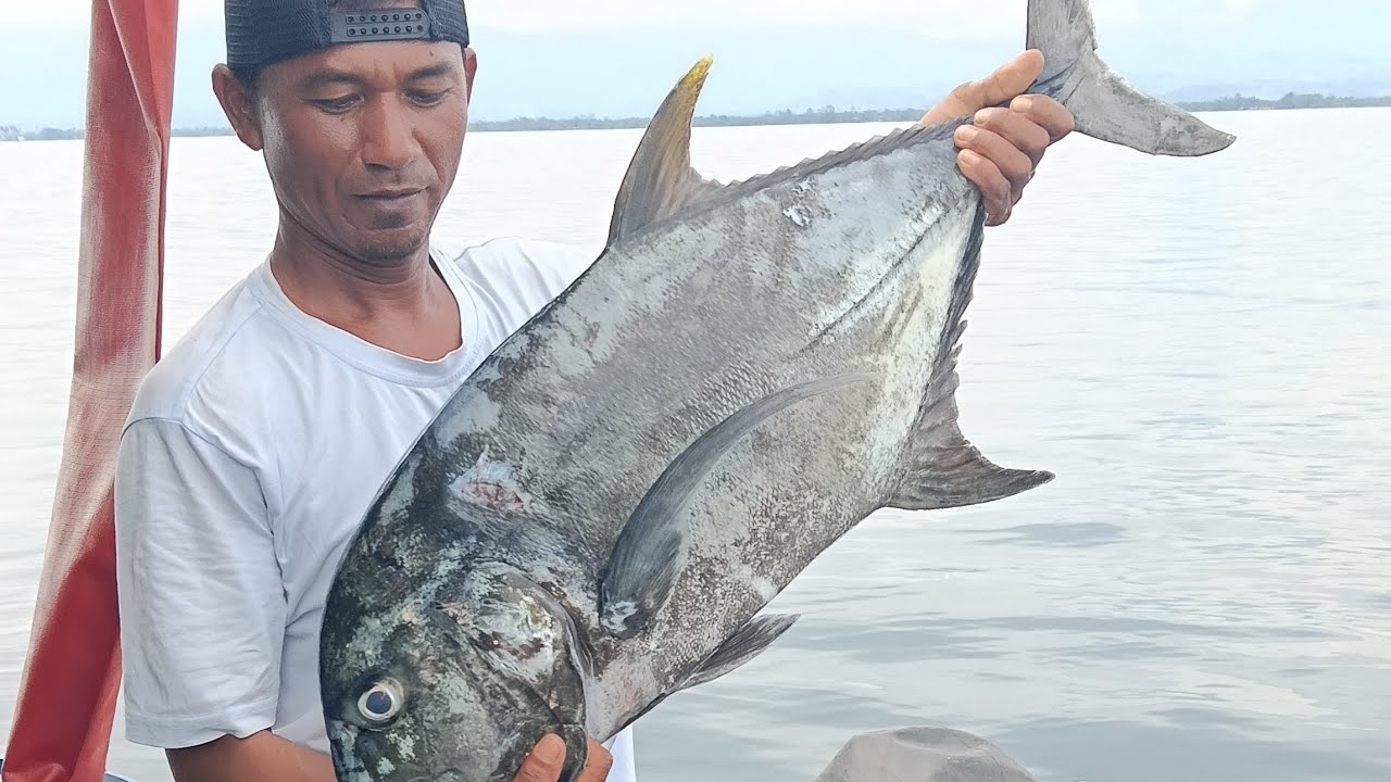 Strike ikan babon di rumpon angler Nusantara #gianttravely #ikanputih #mancing #fishing #rumahapung 