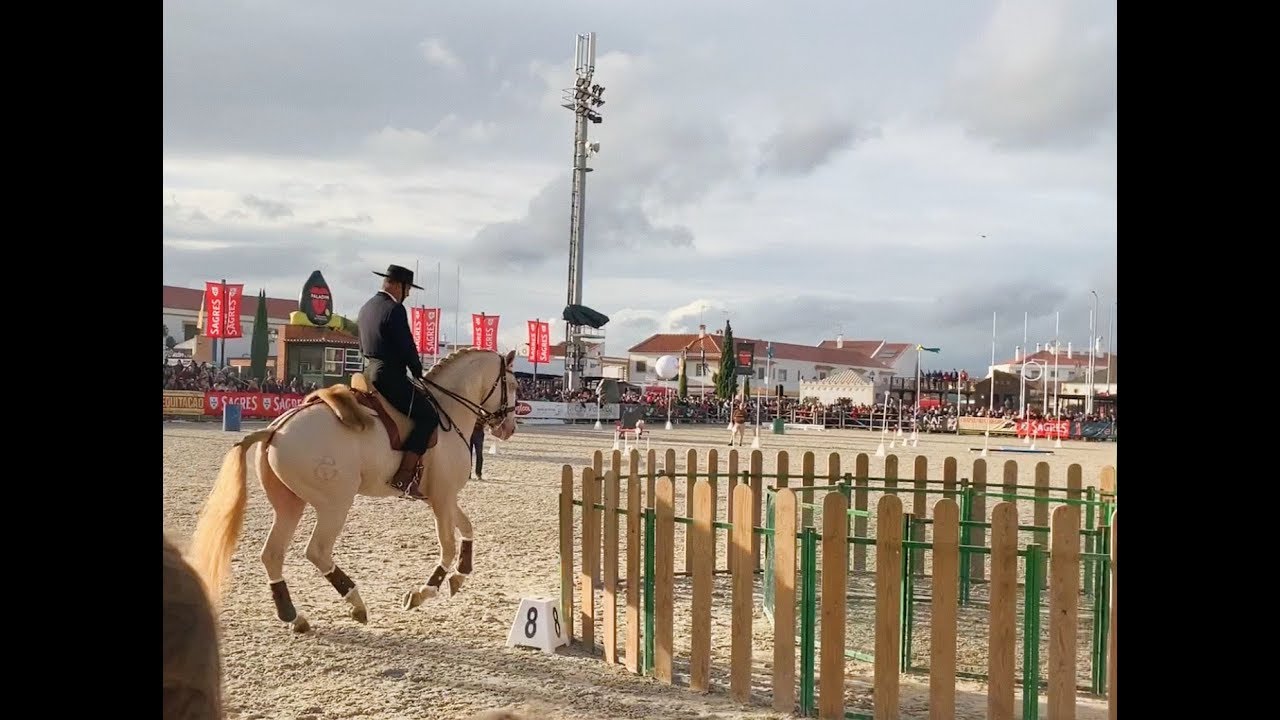 Golegã '19