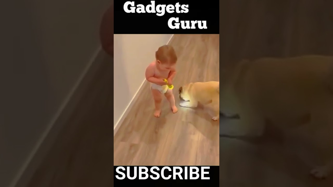 Funny Video #541 | #Shorts #FunnyVideo #Funny #YoutubeShorts