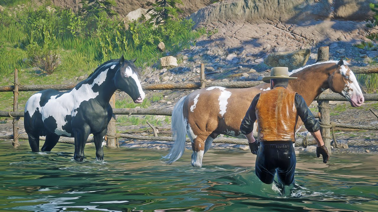 Low Honor John Finds 4 American Paint Horses at a Ranch Near Cumberland Falls and Tames Them All