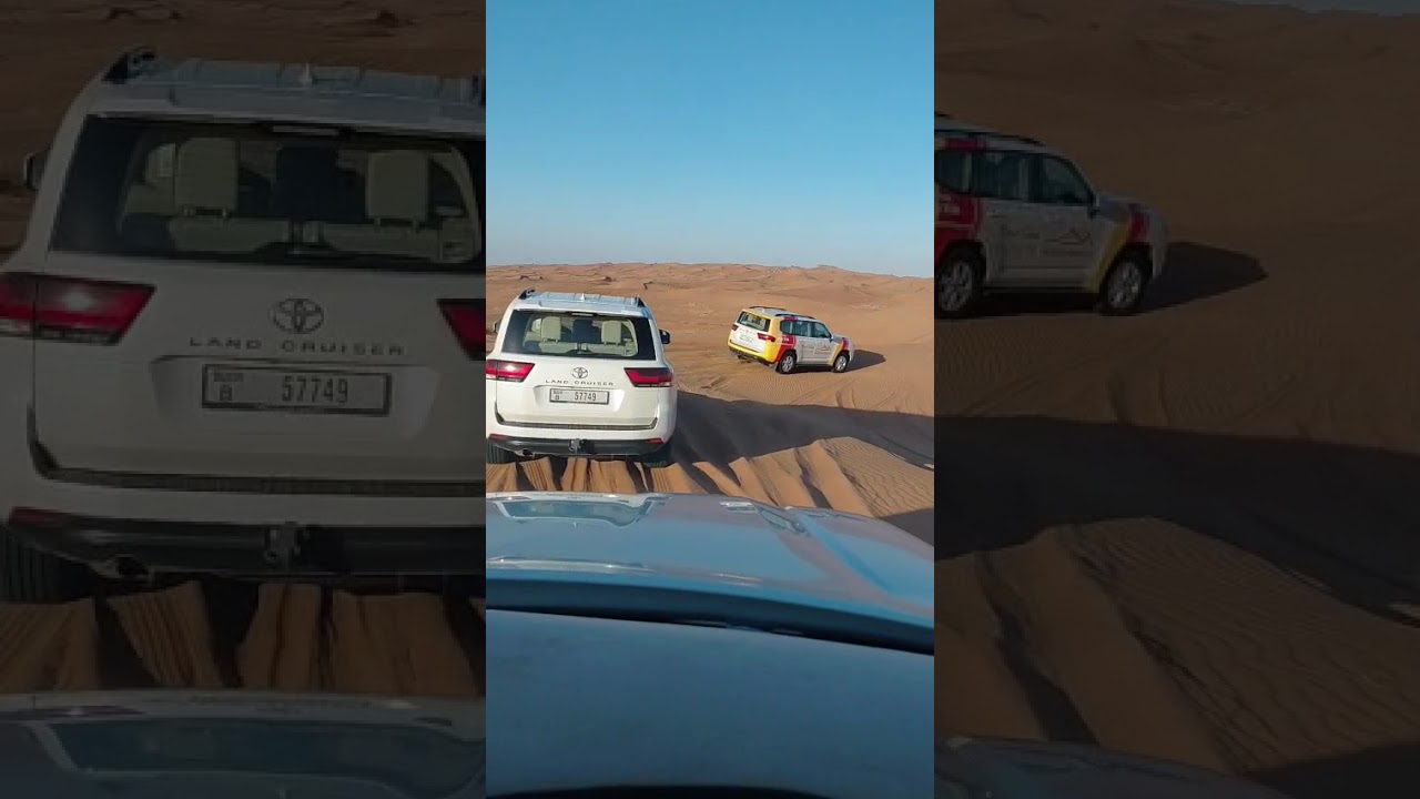 DUBAİ.SAFARİ.01.01.2026