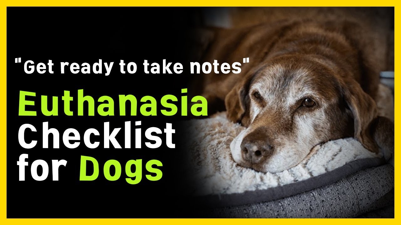 If your dog is struggling due to old age, watch this video.[Euthanasia checklist]