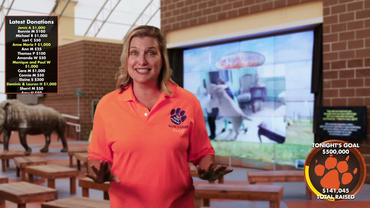 Healing the Tiger Kingdom Live Event Rewatch