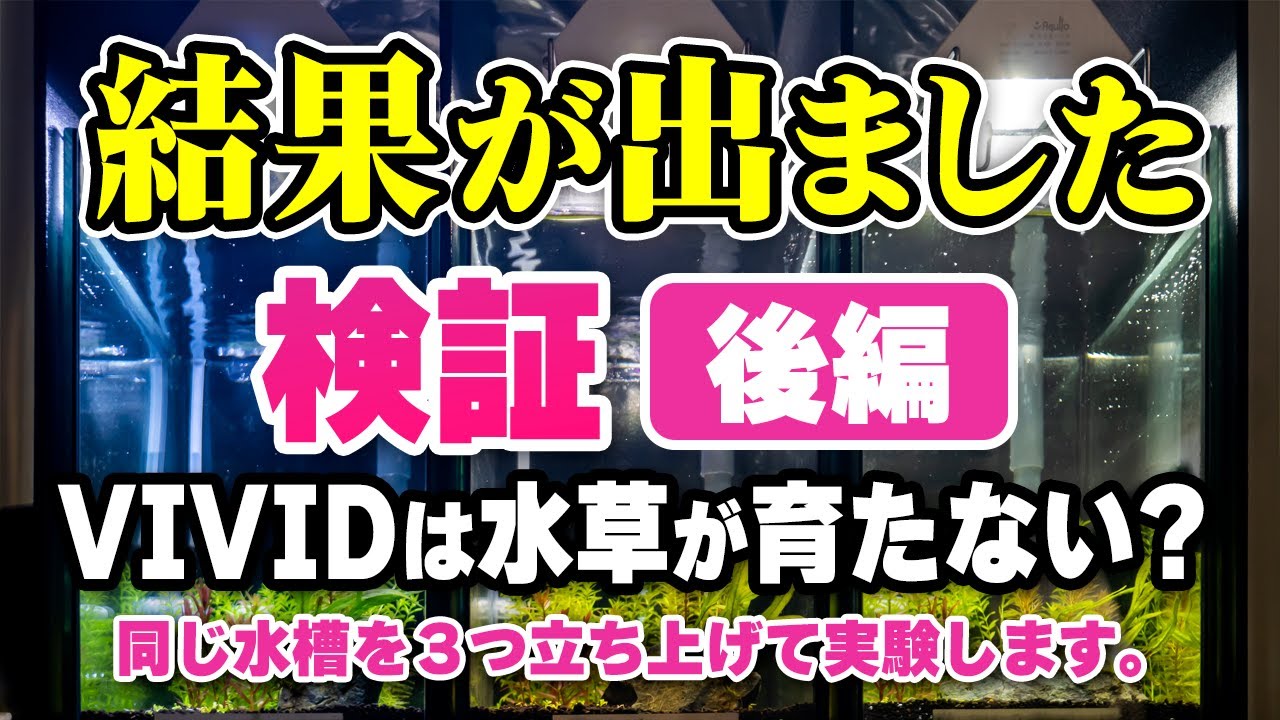 【後編】VIVIDは水草が育たない？アクロトライアングル最新LEDの噂の検証結果！GROW＆BRIGHTと比較 #アクアリウム #熱帯魚 #Charm 【ビバアクア】