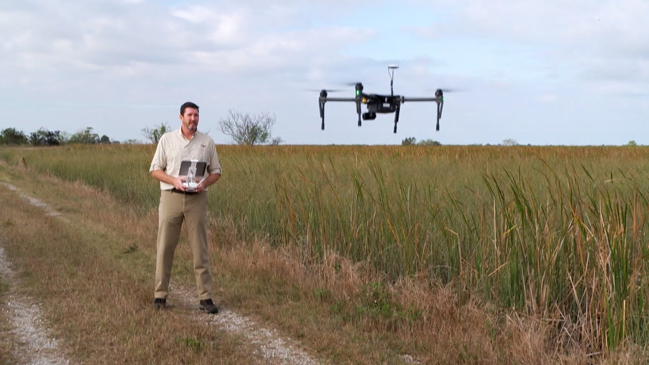 Python-Hunting Drones | The Henry Ford’s Innovation Nation