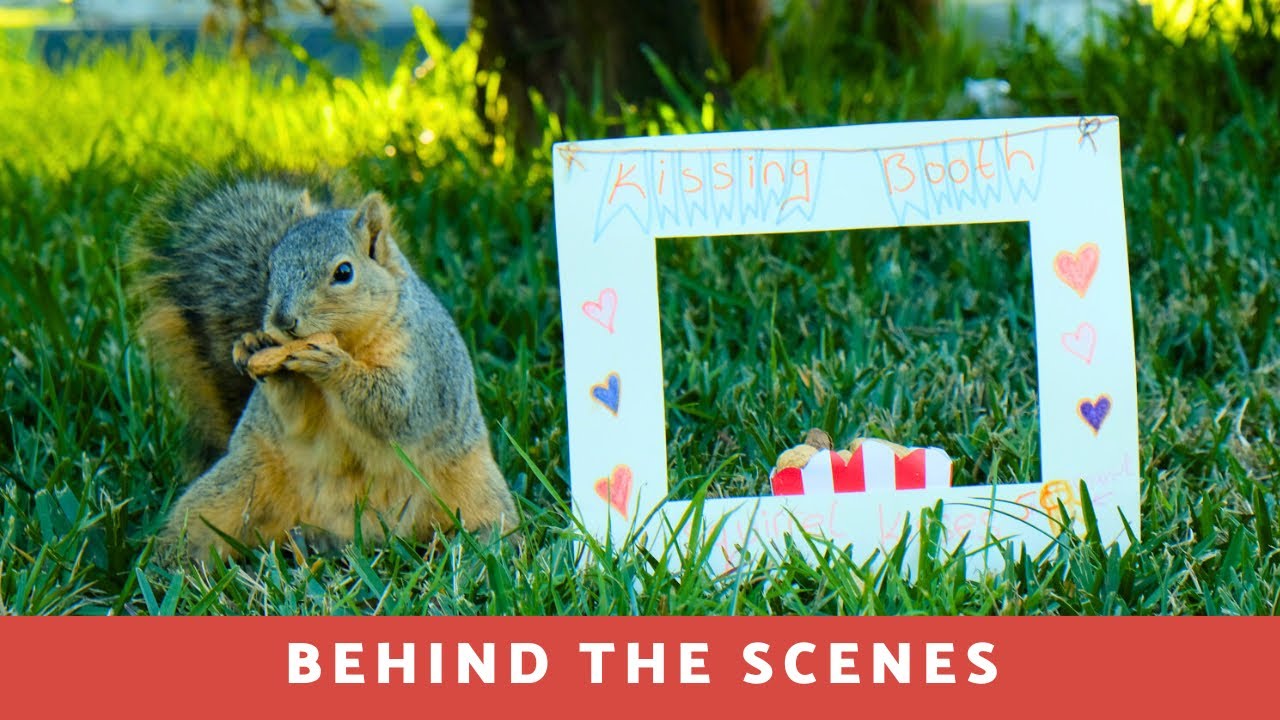 Behind the scenes 