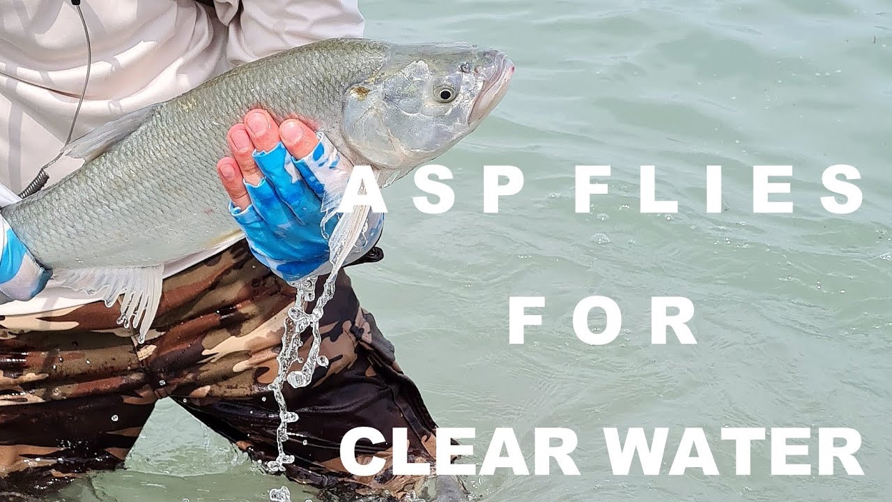 Flies for aspius flyfishing - Coming soon