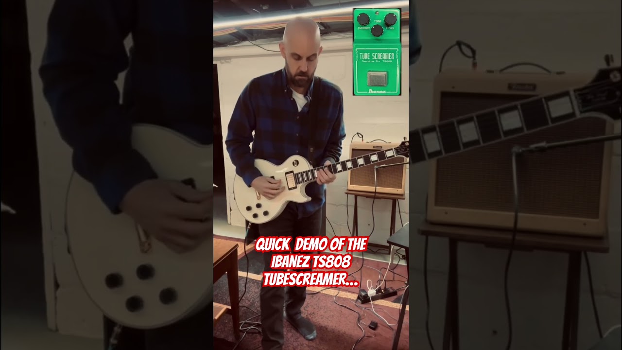 Quick demo Ibanez TS808 Tubescreamer Gibson Les Paul Custom w/Fender Blues Jr. #pedaldemo #fyp#ts808