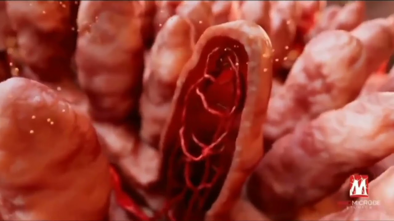 Learn Biology at ease  - how pain killer works