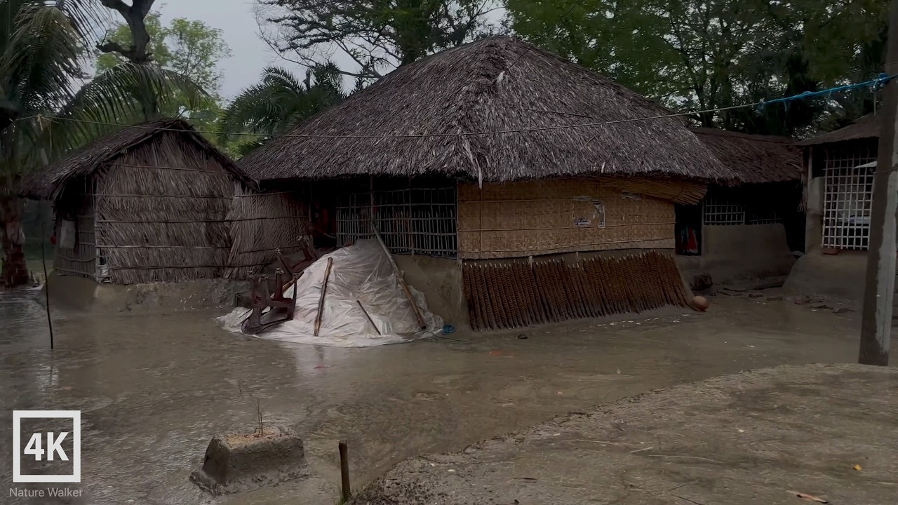 Village Life in HEAVY RAIN Walking Adventure  |  Rainy day - Village rain ambience
