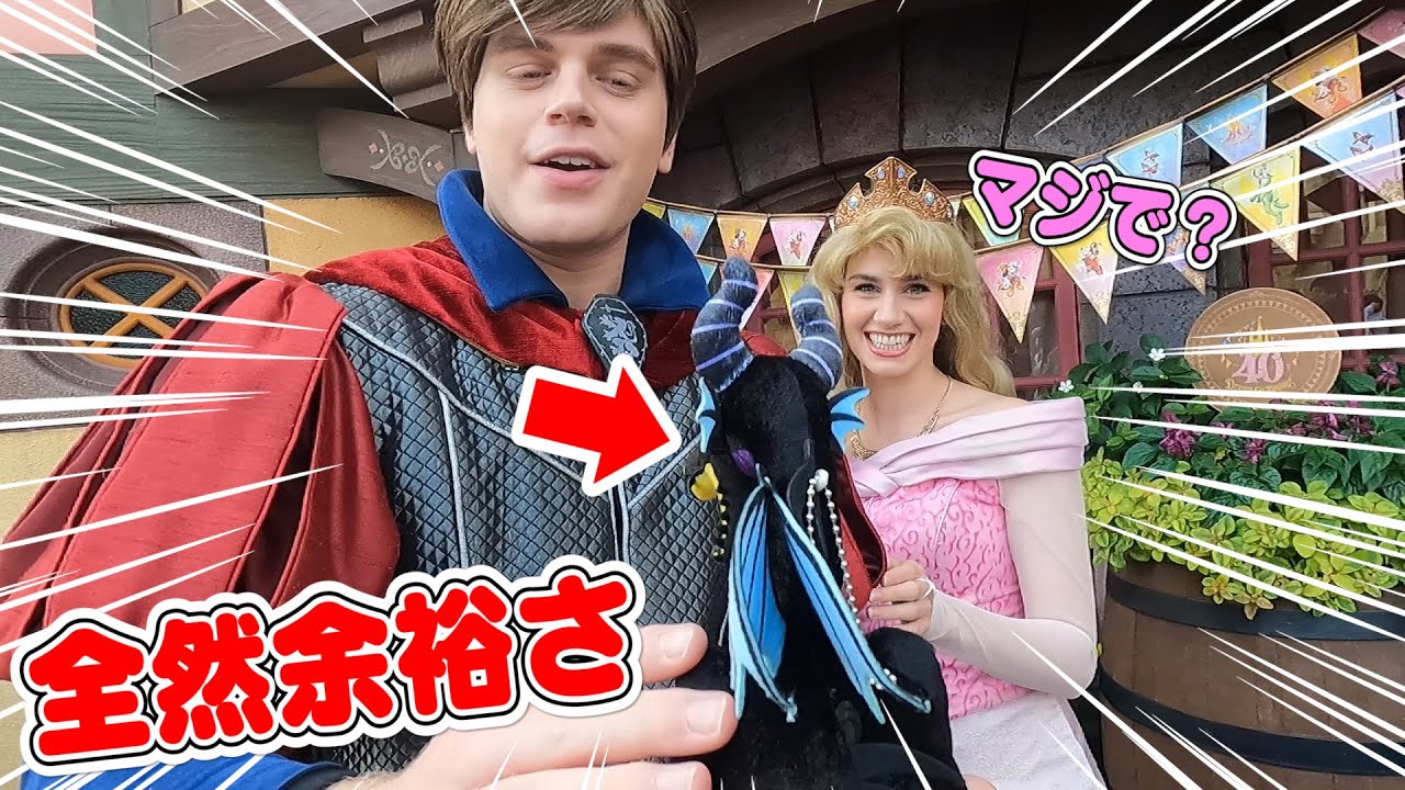 【ディズニー】意外と知らないグリーティングの神対応✨皆んなに○○について質問1個聞いてみた❗️プリンセス達と王子と史上最高の思い出を作ってみた🎄