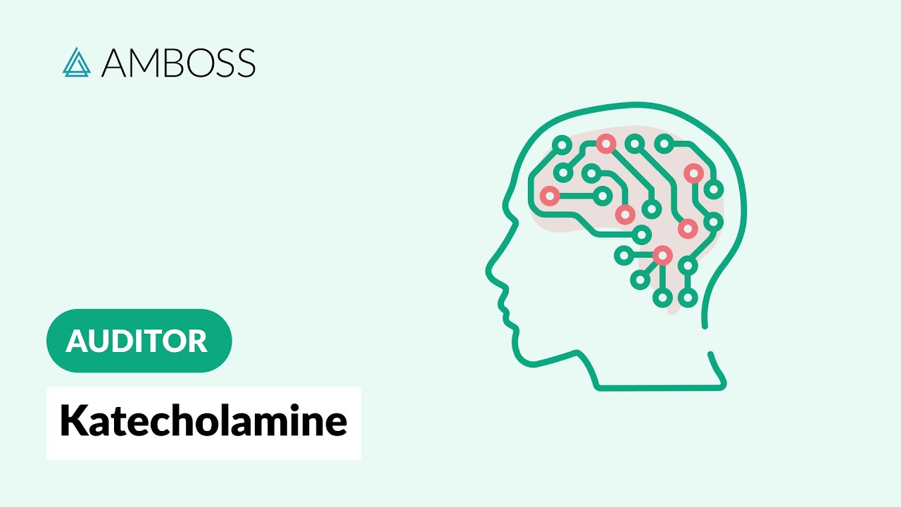 Auditor: Neurotransmitter 1 - Kateocholamine | AMBOSS