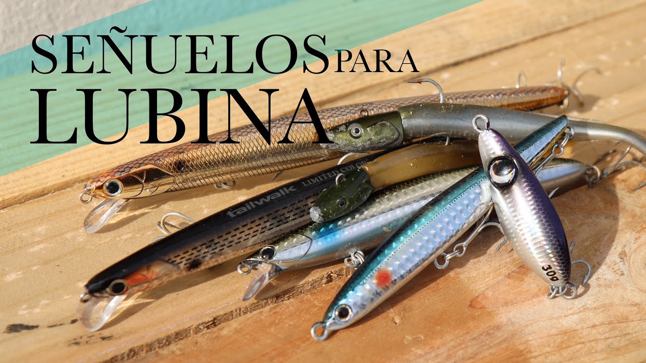 5 SEÑUELOS para PESCAR LUBINA en INVIERNO