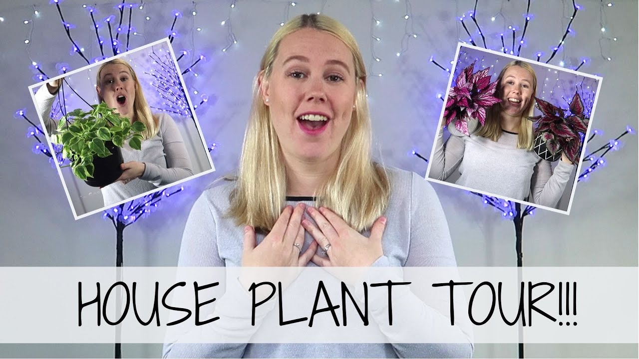 HOUSEPLANT TOUR July 2020 🌱 Get To Know Me!