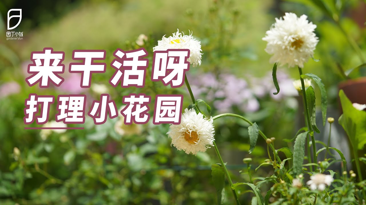 园丁小饭丨看完花就想跑？没门，大家一起云干活吧