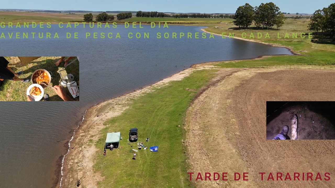 PESCA DE TARARIRAS # APRENDE A FILETEAR Y SACAR ESCAMAS FACIL# COCINA PUCHERO  TRADICIONAL