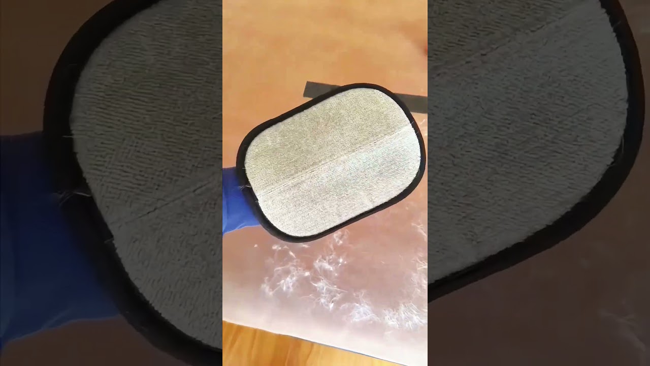Pet Owners Will Love This Hair Removal Tool