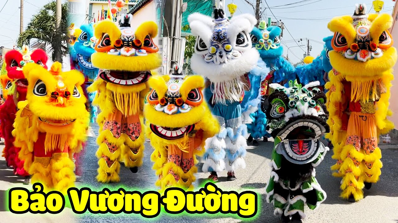 Múa Lân Khai Quang Điểm Nhãn 2026 đoàn LSR Bảo Vương Đường cúng Chùa Ông Cù Lao Phố