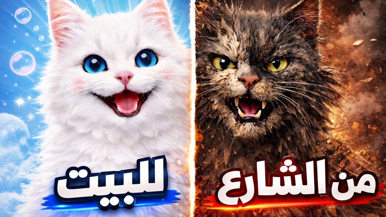 لقيت قطة مسكينة بالشارع 🐈 😭بتتوقعوا ربيتها؟💔