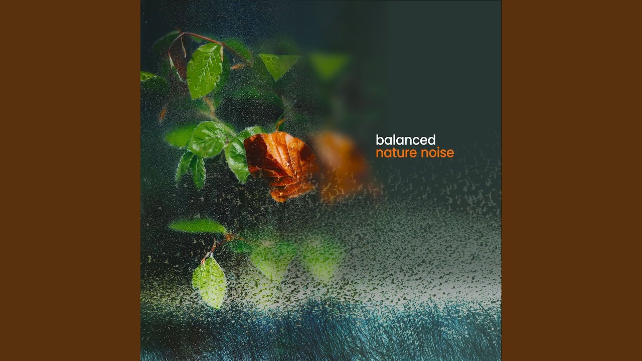 Rain and Birds Loop