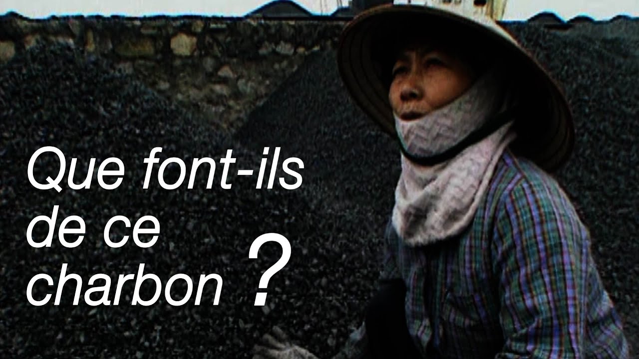 Vietnam : le charbon des pauvres