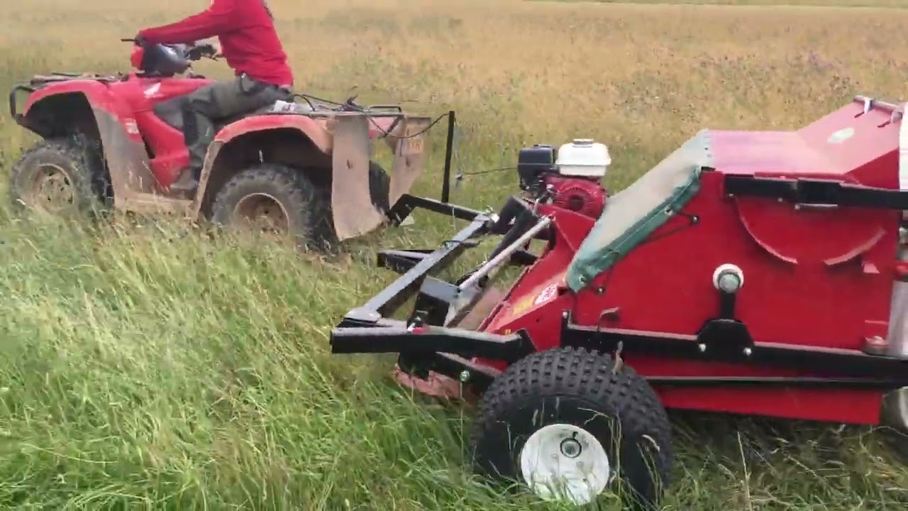 Seed Harvesting using a brush harvester with a team from the National Trust