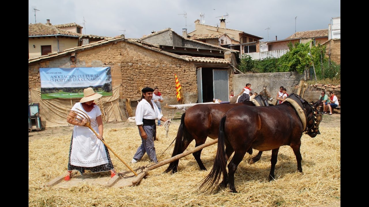 XI Fiesta de la siega y la trilla en Colungo (Huesca)