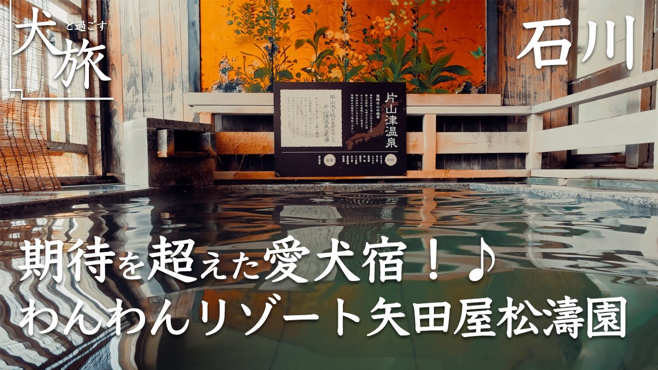 【わんわんリゾート 矢田屋松濤園｜石川｜片山津温泉】加賀の歴史ある老舗宿で愛犬とずっと一緒に過ごせてサイコーに良かったぞ ｜大江戸温泉物語