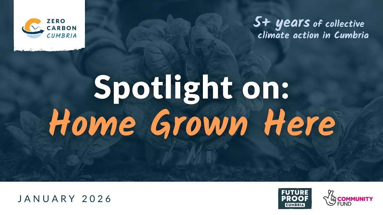 Spotlight on: Home Grown Here | Zero Carbon Cumbria