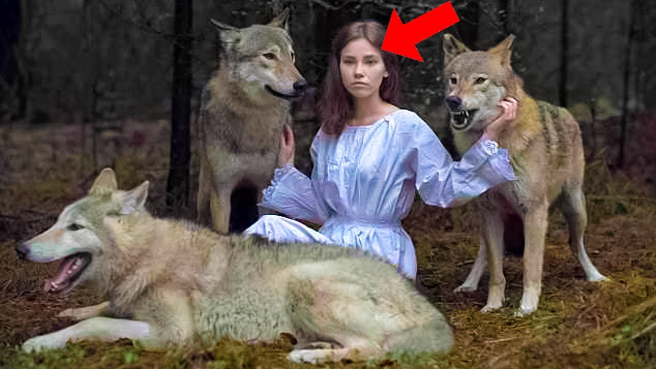 Parents Were Shocked When They Found Out Their Daughter Has 4 Wolves As Bodyguards..