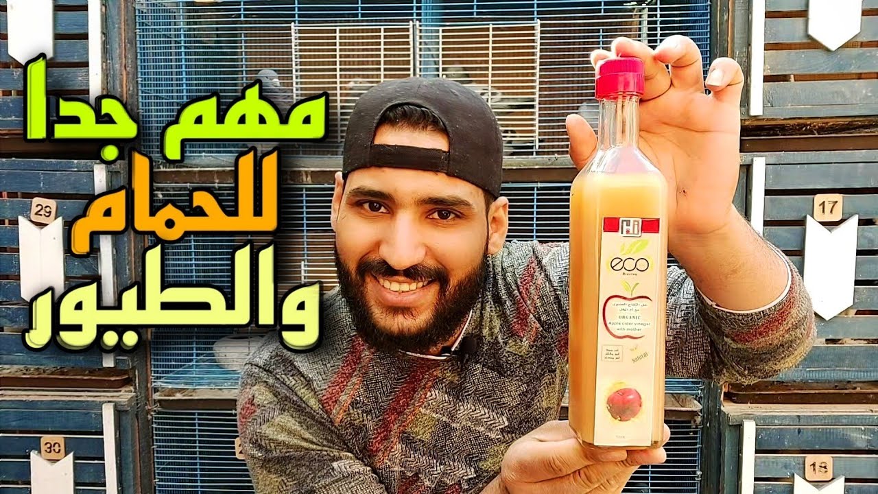 خل التفاح للحمام والطيور مهم جدا للوقايه من الامراض