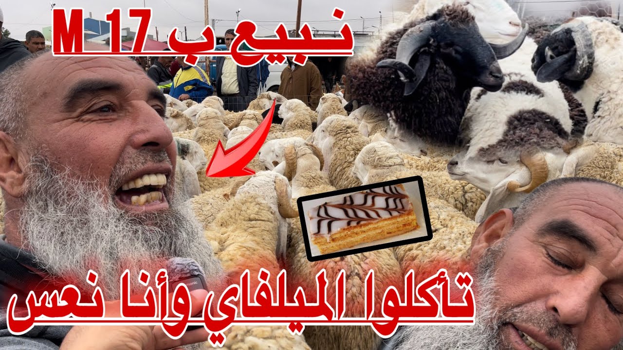 موال سطايفي يقصف: نتوما كولو الميلفاي وأنا نبات نعس / أغلى سوق عبر التراب الوطني هنا العلمة 🐏🐏♥️♥️🇩🇿