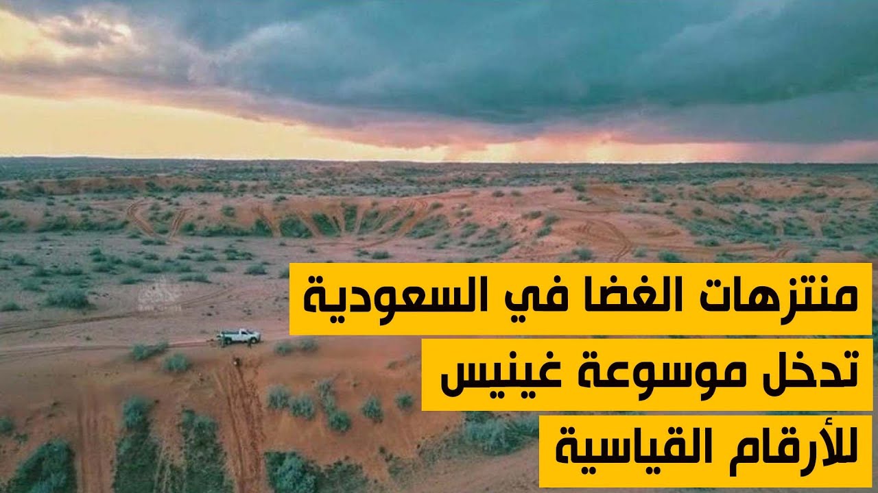 قناة الخليج | منتزهات الغضا السعودية تدخل موسوعة غينيس