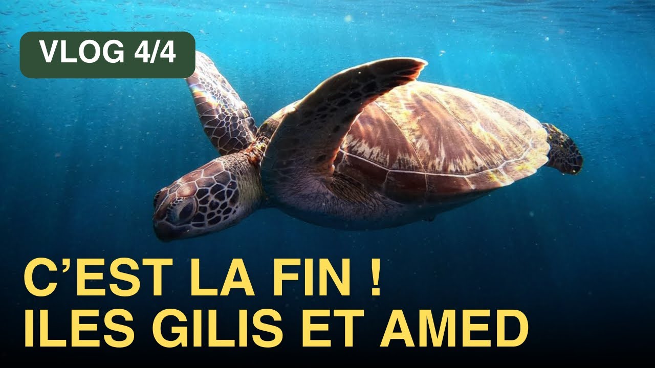Dernier Vlog famille - C’est le moment des au revoir 🥲💘