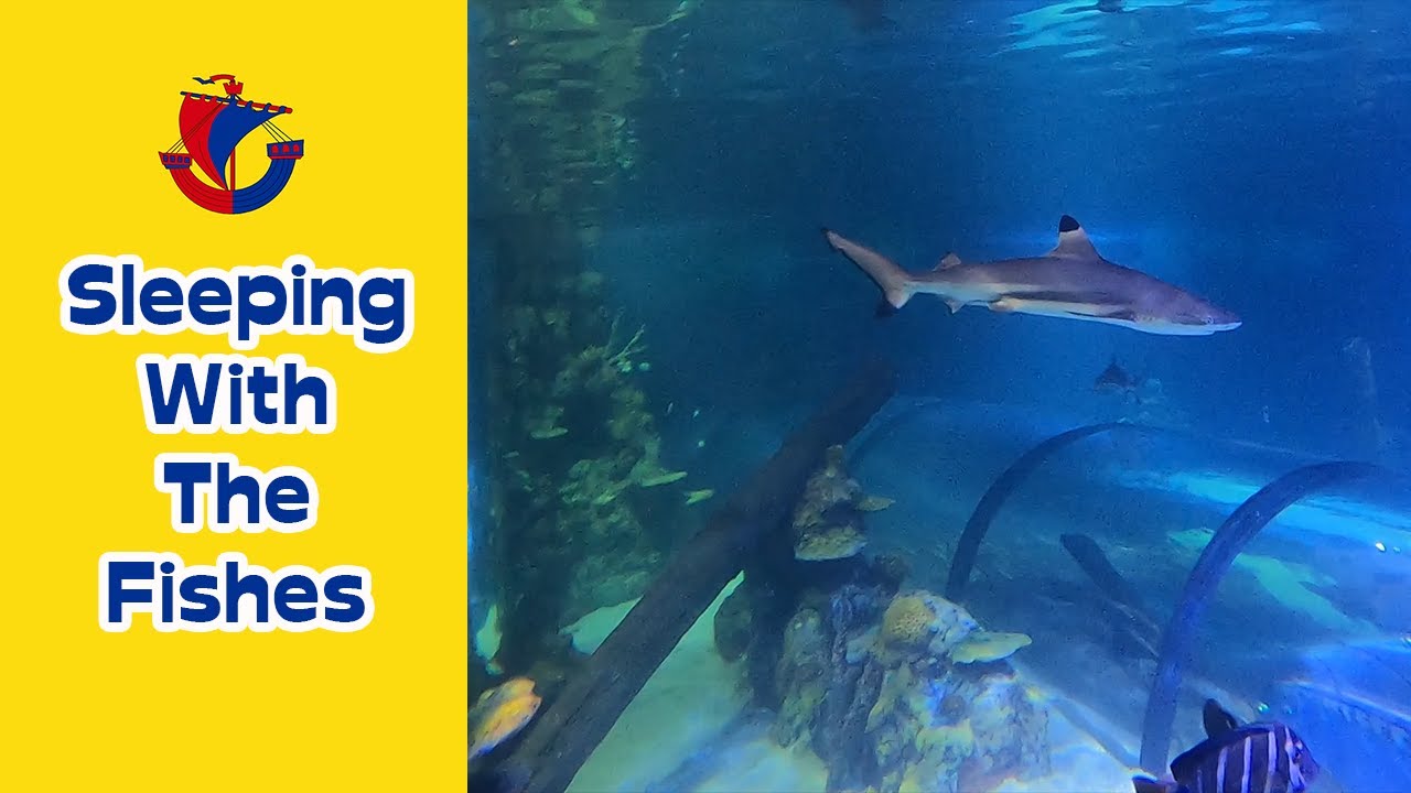 Blue Reef Aquarium | Hastings 2021 | Annual Pass Video