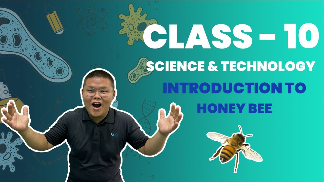 📖🔥Introduction to Honeybee || Class - 10 SEE || Science & Technology || Based On New Syllabus ||