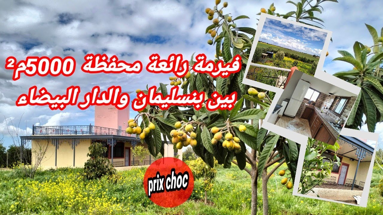فيرمة رائعة محفظة 5000 م² بين بنسلبمان و الدار البيضاء.