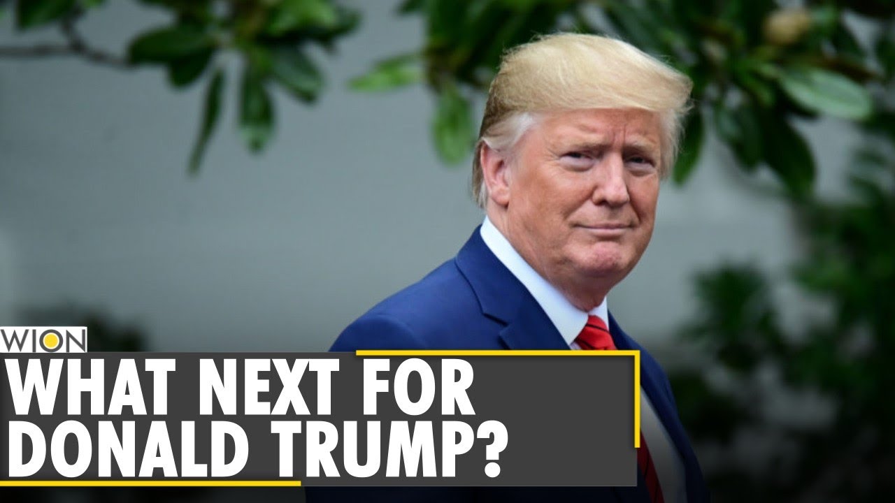 Speculations about Trump's political endeavours continue | Patriot Party | US News | World News