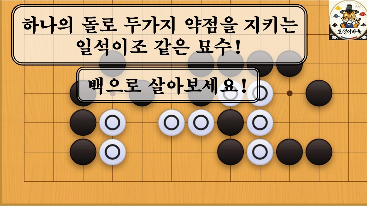 [바둑 사활] 하나의 돌로 두가지 약점을 지켜주는 일설이조 묘수!