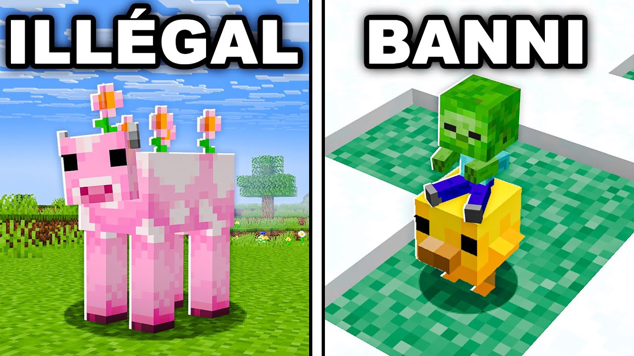 30 SECRETS que TU ne CONNAIS PAS sur Minecraft !
