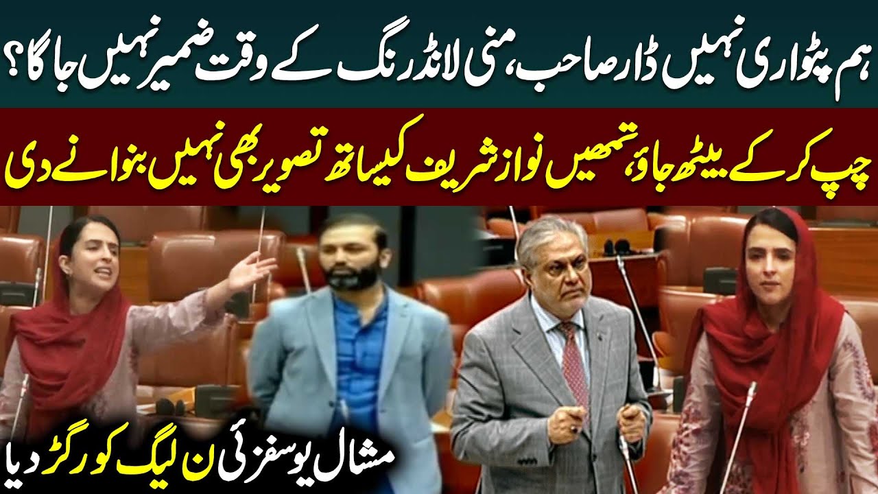 Hum Patwari Nahi! Mashal Yousafzai Bashed out at PMLN | Senate Session | 27th Amendment |Public News