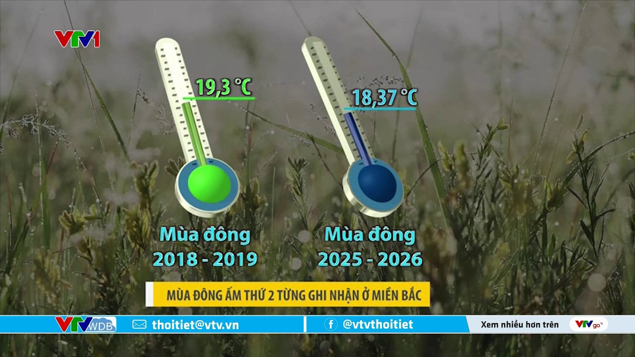 Miền Bắc trải qua mùa đông ấm thứ hai trong lịch sử | VTVWDB