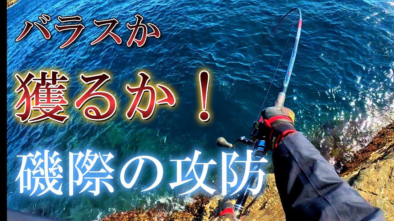 【磯グレフカセ釣り】バラスか獲るか❕寒グレこそ際攻めが面白い❗
