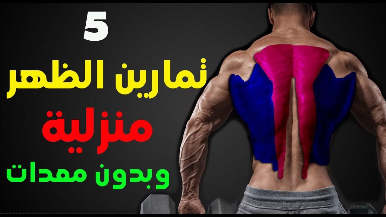 اقوى 5 تمارين الظهر تمارين منزلية لتقوية العضلات و لتعريض و بدون معدات