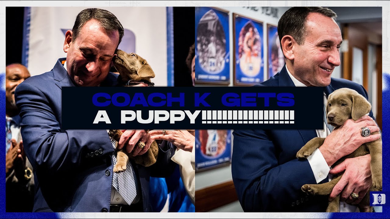 COACH K GETS A PUPPY!