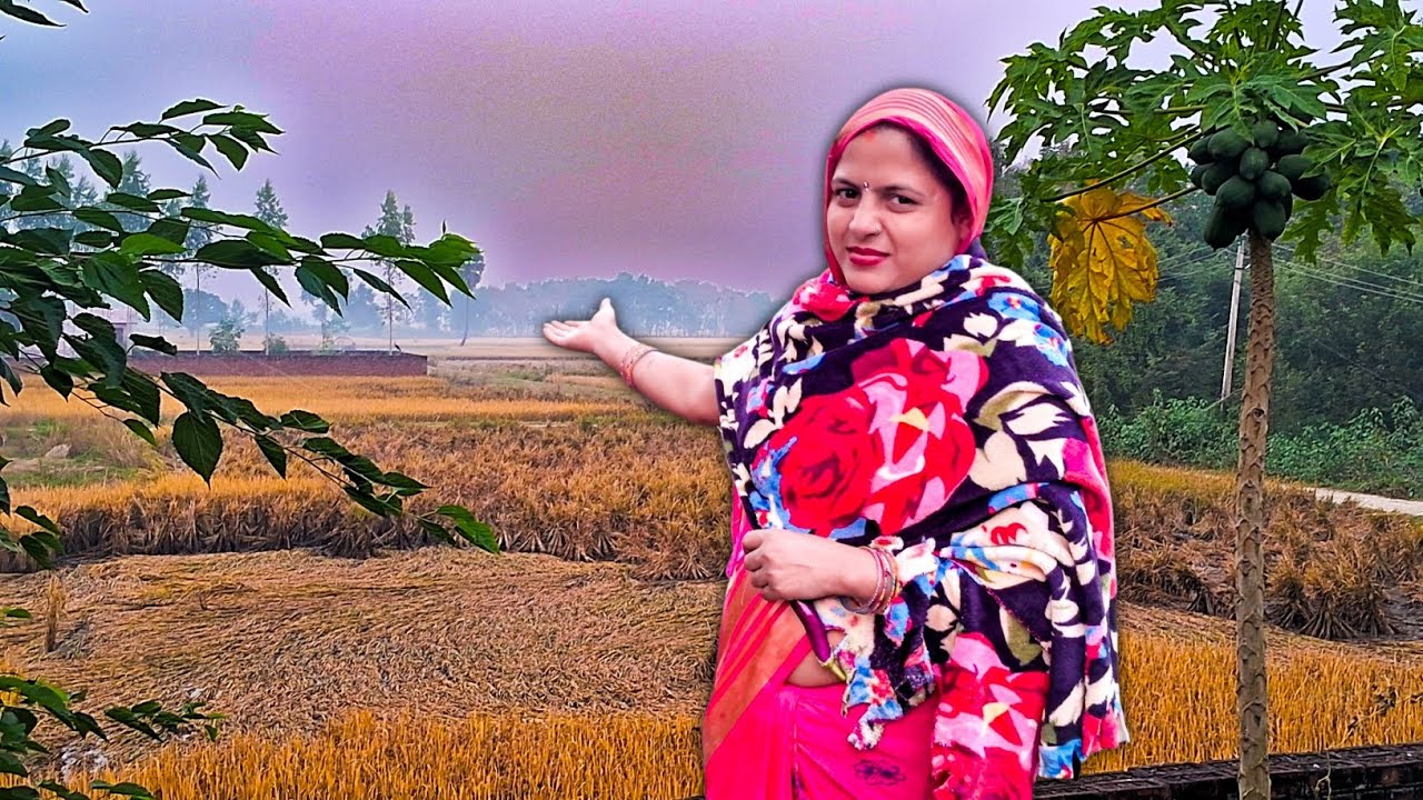 बारिश की वजह से गाँव में सभी लोगो के धान ख़राब हो गए | Village Cooking 