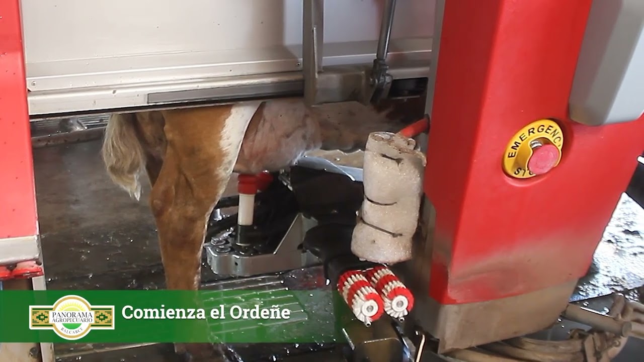 Panorama Agropecuario Balcarce 16/1 Tambo Robótico