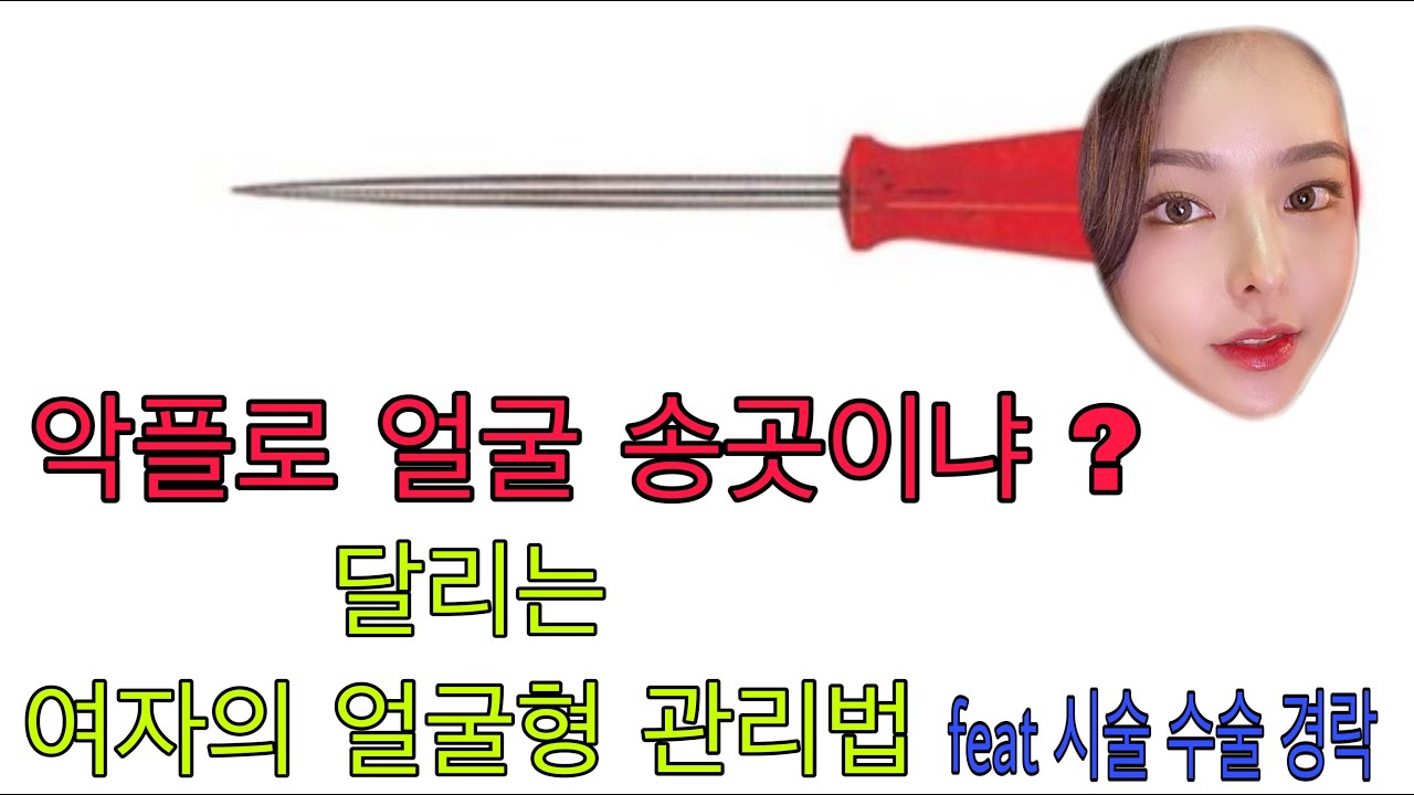 강아지까지 대 환장파티하는 송곳 브이라인 얼굴형 관리법 (feat. 시술 수술 경락)